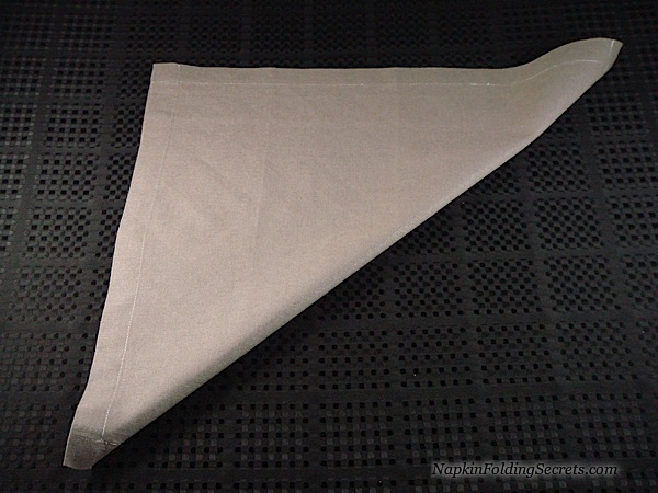 Philodendron Folded Napkin Step 1