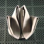 Fold a Small Flower with a Table Napkin